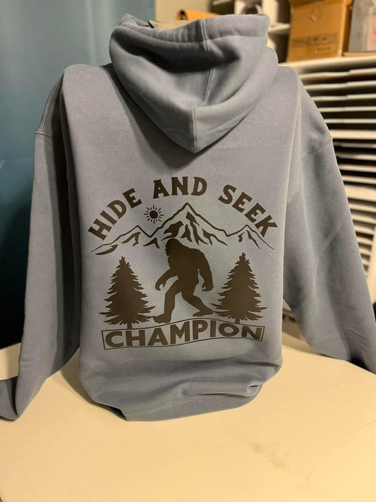 Hide and see Champion
