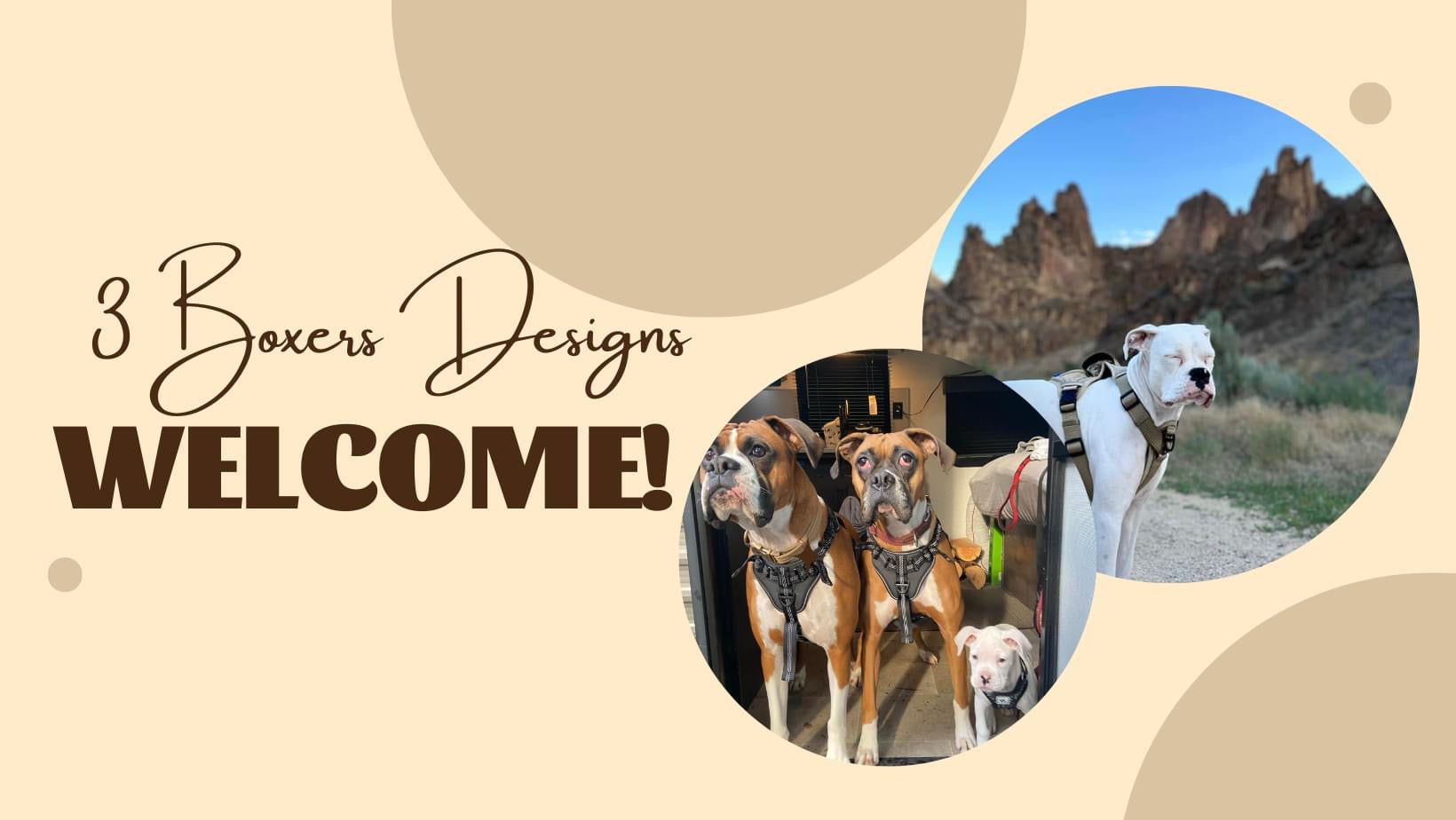 3 Boxers Designs – 3 Boxers Designs